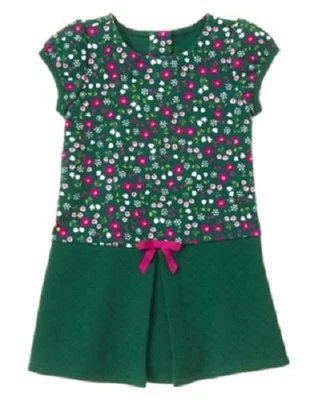 Vestido Gymboree Ciruela Poni Verde Floral Acolchado Tejido Niño Niña Talla 4T NUEVO Foto 1 de 2