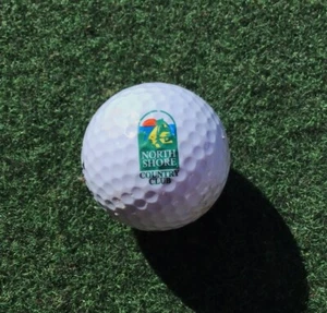 North Shore Golf Club Logo Golf Ball Spaulding Molitor - Picture 1 of 3