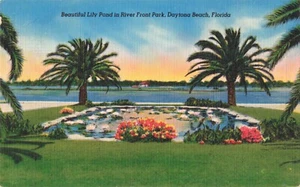 Daytona Beach Florida, hermoso estanque de lirios en River Front Park, postal vintage - Imagen 1 de 2