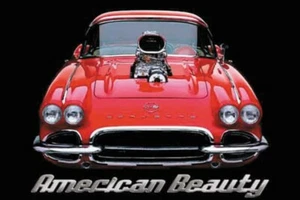American Beauty Corvette Sportwagen Poster 24 x 36 - Bild 1 von 1