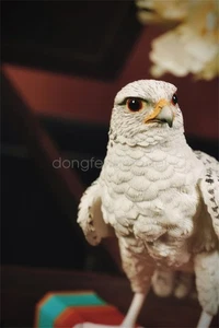 For JXK 1/3 Scale Gyrfalcon Falco Rusticolus Model Shikra Animal Decor Collecion - Picture 1 of 9