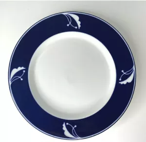 Dansk Flora Indigo Salatteller Japan 9 Zoll blau weiß (4) EUC - Bild 1 von 4