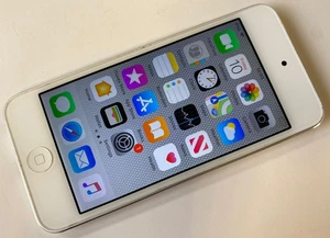 Apple iPod Touch 6th Generation A1574 16GB White Silver - Reset & Fully Working - Picture 1 of 8