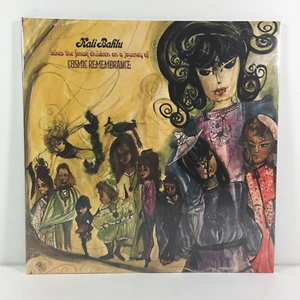 Kali Bahlu - Cosmic Remembrance | Merlins Noise Records | Vinyl LP | NEU OVP | - Picture 1 of 3