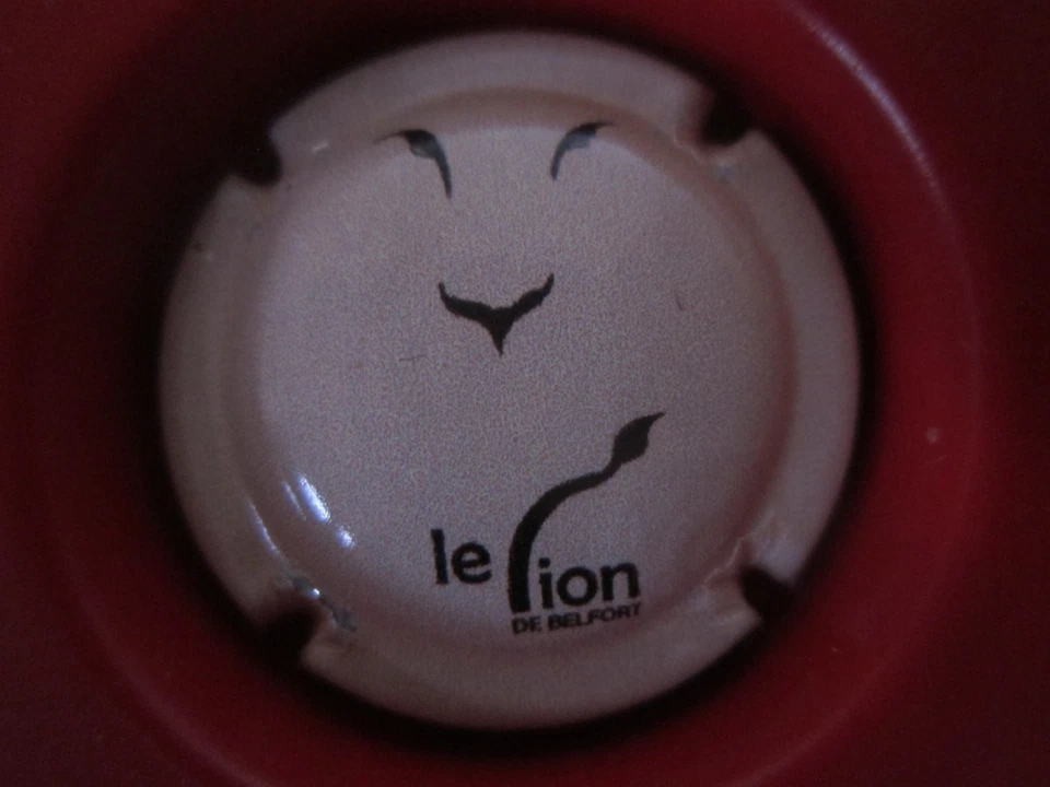 DE VENOGE CAPSULE CHAMPAGNE - Photo 1/1