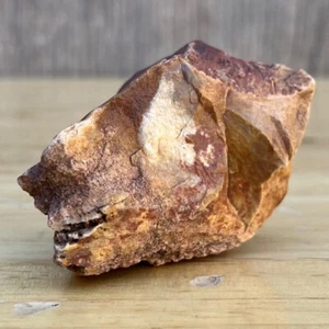 2.7 OZ UTAH Raw Rough PETRIFIED FOSSIL WOOD Log 2+” DINO FACES BARK CRYSTAL RED - Picture 1 of 14