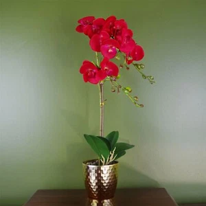 Red Orchid Artificial Leopard Gold Pot 50cm Real Touch Petals - Picture 1 of 3