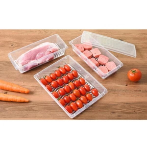 Refrigerator Storage Box Rectangular Preservation Box Vegetable Meat Fruit - Picture 1 of 11