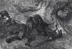 Hombre Cazador Lobo Asesinado, Armas de Fuego Pólvora Negra, Grabado Antiguo Grande Años 1870 - Imagen 1 de 8