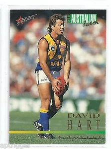 1995 Select All Australian (AA13) David HART West Coast +++ - Picture 1 of 1