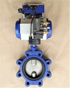 GRÚA Centerline 4" DN100 + REVO RD50250050R0000 + Solenoide FESTO 24 VDC - Imagen 1 de 10
