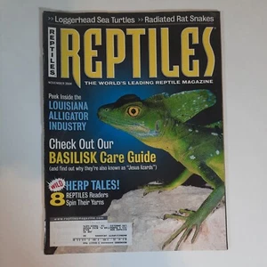Reptilien Magazin November 2004 grüner Basilisk Pflegeanleitung Poster innen - Bild 1 von 3