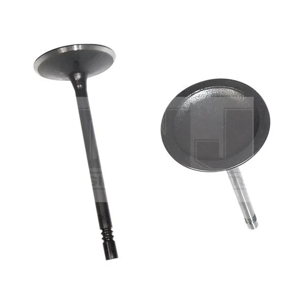 For Ford Mustang 2005-2010 DNJ Engine Components IV428 Intake Valve - Image 1 of 1