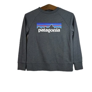 Patagonia Boys Gray P-6 Logo Pullover Crewneck Lightweight Sweatshirt Size M - Picture 1 of 10