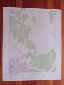 Ruth Nevada 1979 Original Vintage USGS Topo Map - Picture 1 of 1