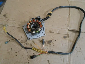 Polaris Sportsman 400 2002 02 generator stator magneto coils plate - Bild 1 von 2