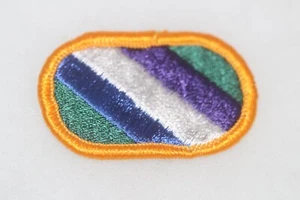 ORIGINAL ISSUE US ARMY 422ND CIVIL AFFAIRS BATTALION PARACHUTE WING OVAL BACKING - Picture 1 of 2