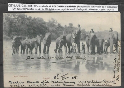 Ceilán: 1905, postal Eduardo VII, elefantes en el río, a España, EBCY08 Foto 1 de 2