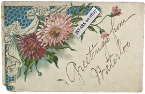 1900s WATERLOO, IA, CHRYSANTHEMUM FLOWERS EMBOSSED GLITTER GREETINGS POSTCARD  - Picture 1 of 2