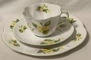 Shelley Bone China England PRIMROSE Dainty 3 pc Teacup Saucer 8” Plate Trio - Picture 1 of 12
