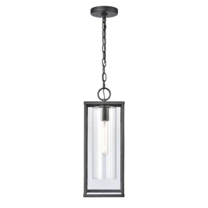 Elk Lighting Augusta 1 Light 19"H Outdoor Hanging Light, Black/Clear - 90013-1 - Picture 1 of 1