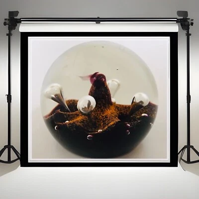 Caithness paperweight "Moonflower"  Stunning 1970s Vintage - Image 1 of 2