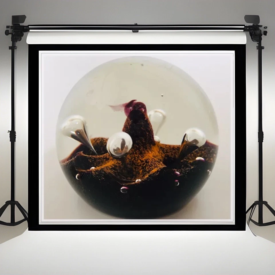 Caithness paperweight "Moonflower"  Stunning 1970s Vintage - Image 1 of 2