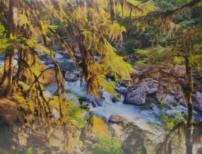 NEW~ 432 PIECE Jigsaw Puzzle~ Forest Stream ~ 18" x 24" - Image 1 of 4