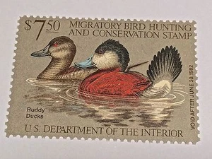 UNUSED MIGRATORY BIRD HUNTING CONSERVATION STAMP 1981 - Picture 1 of 2