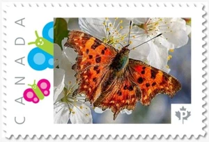 BUTTERFLY on Apple Blossom ** Picture Postage MNH Canada 2019 p19-02-sn15 - Picture 1 of 2