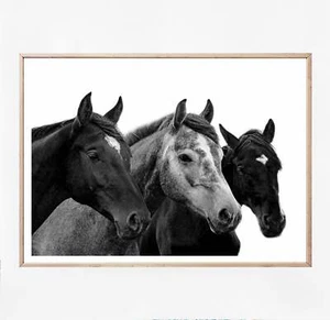 FRIENDS - Black&White Horses Photography Wall Art Print. Great Home Decor - Foto 1 di 6