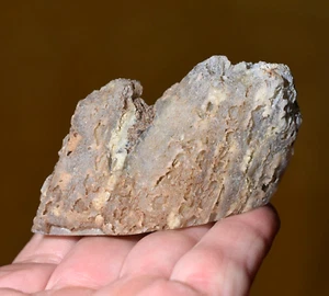 Rama pulida de madera fundida ágata Clarno rama de extremidades divididas río torcido, Oregón - Imagen 1 de 11