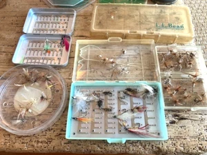 FLY FISHING VINTAGE FLIES-PLASTIC CASES, LINE-VARIETY AND COLORS, MANY BROWN - Picture 1 of 3