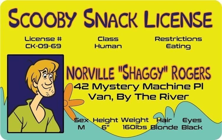 Shaggy of Scooby Doo Laminated Novelty Snack License !!! Free shipping in U.S. - Image 1 of 1