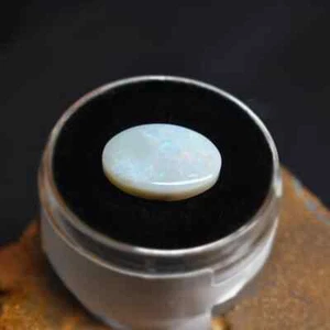 Opulent Lightning Ridge Dark Opal 3.20 ct - Bild 1 von 3