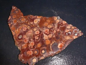 Birdseye Rhyolith Platte - 6 3/8" x3 3/4" - grob für Kabbing oder Display - Bild 1 von 2