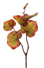 Blätterzweig Asarum 77cm (F185858) künstliche Pflanzen Blumen Seidenblumen 