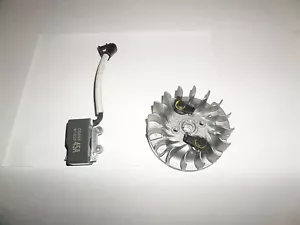 ECHO MOTOSEGA CS-490 volano e bobina - OEM - Foto 1 di 3