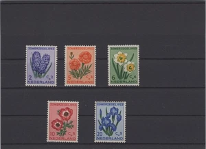 Netherlands 1953 Summer Stamps Flowers XF Mint Never Hinged - Picture 1 of 1