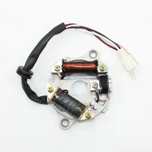 Magneto Flywheel Stator Plate YAMAHA PW50 PY50 PEEWEE 50 PIT PRO TRAIL DIRT BIKE - Picture 1 of 8
