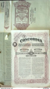 Concordia (Cie d'Industrie & pétrole) action 250 Lei Roumanie 1939 - Picture 1 of 1