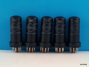 5 /FIVE/ 6AG7 / VT-247 / 6AK7  POWER PENTODE HALTRON CANADA IN ORIGINAL BOX - Picture 1 of 6
