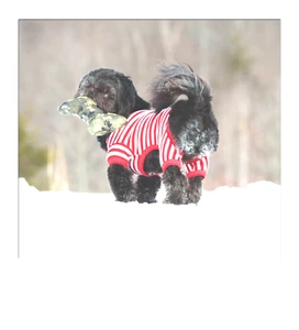 SALE MEDIUM Cold Woof Dog Puppy Pajamas Candy Cane Thermal Union Suit Christmas - Picture 1 of 3