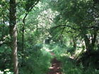 Photo 6x4 Shady footpath Wokingham The small path linking Edney&#039;s Hi c2009