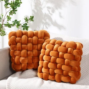 2 Pcs Knot Pillows Square Knotted Plush Throws Soft Accent Pillows Decoration... - Foto 1 di 6
