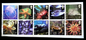 GB - 2007 - Sea Life - Seal Fish Octopus Starfish Crab Jellyfish - used on piece - Picture 1 of 2