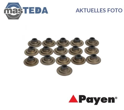 HR752 VENTILSCHAFTDICHTUNG SATZ PAYEN FÜR CATERHAM SEVEN 1.4,1.4 I 1.4L - image 1 of 4