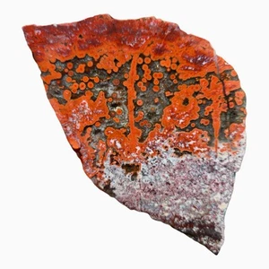 Duncan Poppy Jasper Slab – New Discovery from California with Bold Orb Patterns - Picture 1 of 6