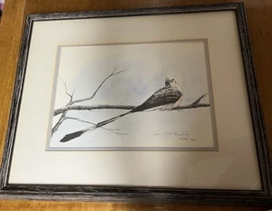 "Scissor-tailed Flycatcher" Rick Fry Signed / Framed And Numbered - Picture 1 of 12