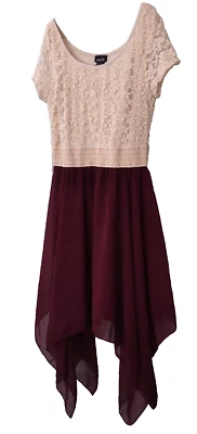 FAIRYCORE 勃艮第连衣裙 女孩 尺寸 XL 蕾丝透明 不对称 全新带标签 Rue 21 — 第 1/4 张图片